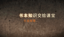 后入式动态视频